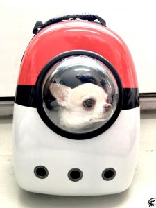 Transportryggsäck för hund | BubbleMon 