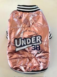 Metallic Jacket Under 38 | Storlekar: S-XL